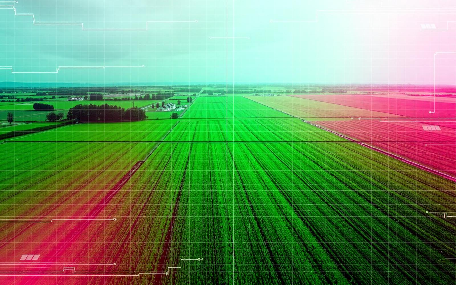 Data visualization overlaid on farmland